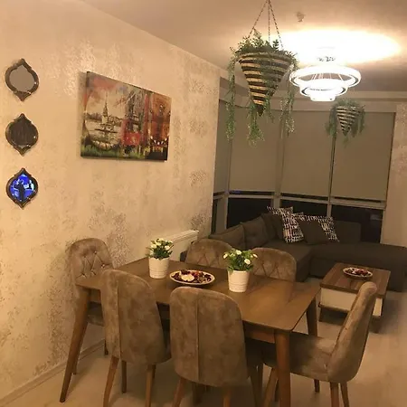 Newista Furnished Apart